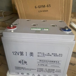 双登蓄电池-6-GFM-65/12V65AH